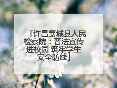 许昌襄城县人民检察院：普法宣传进校园 筑牢学生安全防线