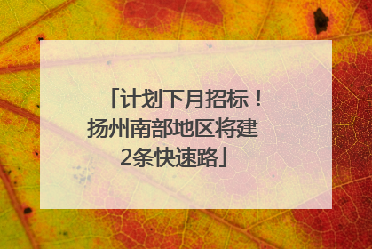 计划下月招标！扬州南部地区将建2条快速路