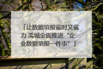 让数据填报省时又省力 禹城全面推进“企业数据填报一件事”
