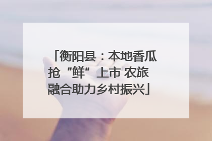 衡阳县：本地香瓜抢“鲜”上市 农旅融合助力乡村振兴