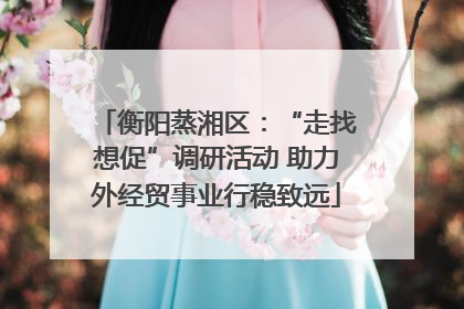 衡阳蒸湘区：“走找想促”调研活动 助力外经贸事业行稳致远