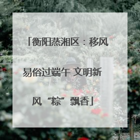 衡阳蒸湘区：移风易俗过端午 文明新风“粽”飘香