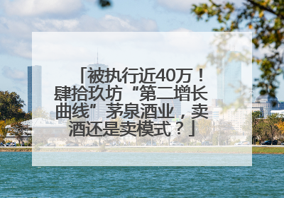 被执行近40万！肆拾玖坊“第二增长曲线”茅泉酒业，卖酒还是卖模式？