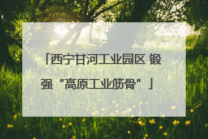 西宁甘河工业园区 锻强“高原工业筋骨”