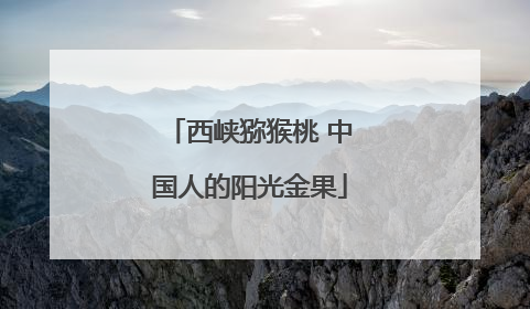 西峡猕猴桃 中国人的阳光金果