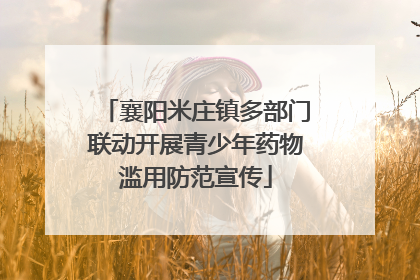 襄阳米庄镇多部门联动开展青少年药物滥用防范宣传