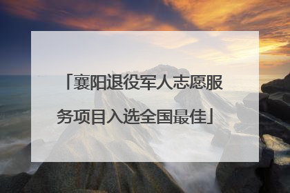 襄阳退役军人志愿服务项目入选全国最佳