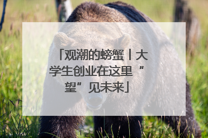 观潮的螃蟹丨大学生创业在这里“望”见未来