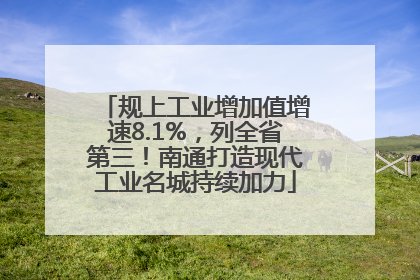 规上工业增加值增速8.1%，列全省第三！南通打造现代工业名城持续加力