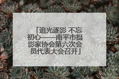 追光逐影 不忘初心——南平市摄影家协会第六次会员代表大会召开