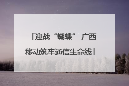 迎战“蝴蝶” 广西移动筑牢通信生命线