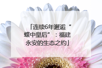 连续6年邂逅“蝶中皇后”：福建永安的生态之约