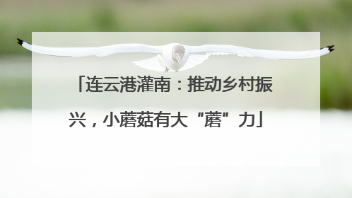 连云港灌南：推动乡村振兴，小蘑菇有大“蘑”力