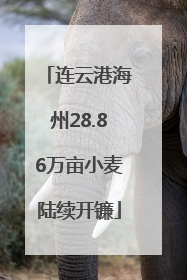 连云港海州28.86万亩小麦陆续开镰