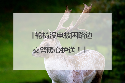 轮椅没电被困路边 交警暖心护送！