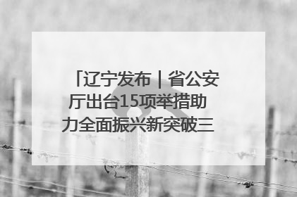 辽宁发布｜省公安厅出台15项举措助力全面振兴新突破三年行动决胜之战
