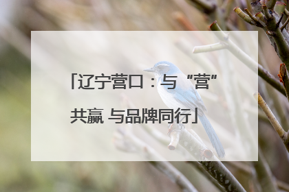 辽宁营口：与“营”共赢 与品牌同行