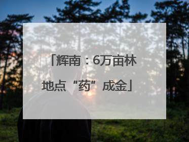 辉南：6万亩林地点“药”成金