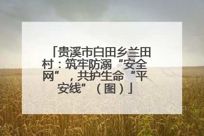 贵溪市白田乡兰田村：筑牢防溺“安全网”，共护生命“平安线”（图）