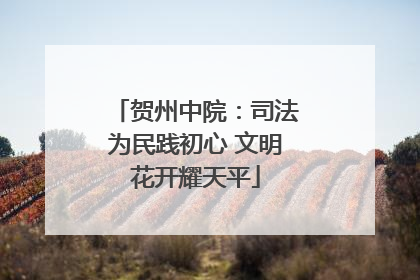 贺州中院：司法为民践初心 文明花开耀天平