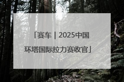 赛车｜2025中国环塔国际拉力赛收官