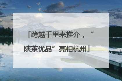 跨越千里来推介，“陕茶优品”亮相杭州