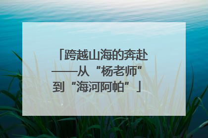 跨越山海的奔赴——从“杨老师”到“海河阿帕”