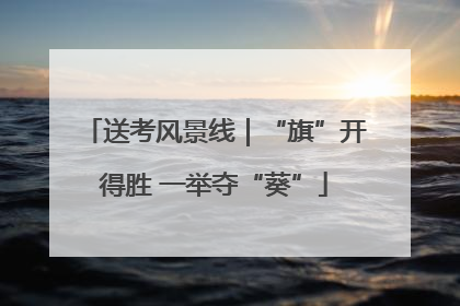 送考风景线｜“旗”开得胜 一举夺“葵”