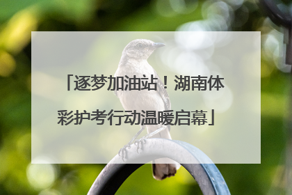逐梦加油站！湖南体彩护考行动温暖启幕