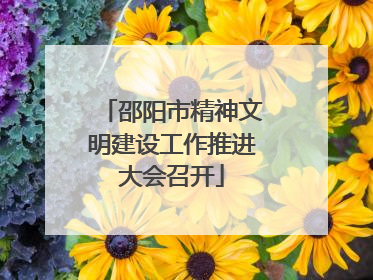 邵阳市精神文明建设工作推进大会召开