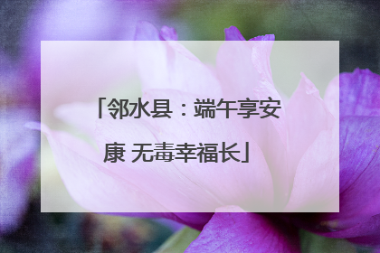 邻水县：端午享安康 无毒幸福长