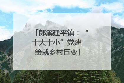 郎溪建平镇：“十大十小”党建 绘就乡村巨变