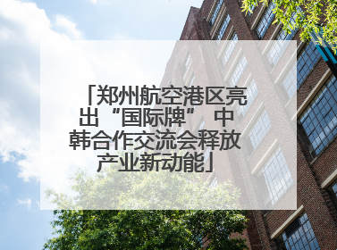 郑州航空港区亮出“国际牌” 中韩合作交流会释放产业新动能
