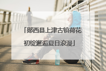 郧西县上津古镇荷花初绽邂逅夏日浪漫