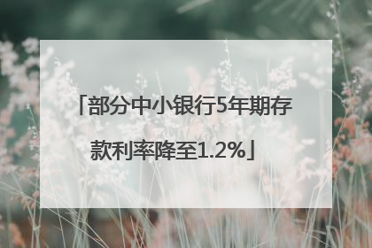 部分中小银行5年期存款利率降至1.2%