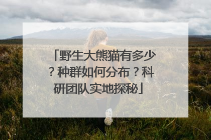 野生大熊猫有多少？种群如何分布？科研团队实地探秘