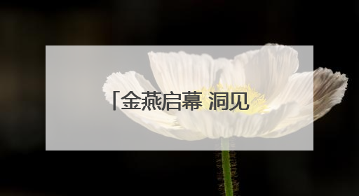 金燕启幕 洞见金贵 SCOTCH 燕窝中国新品发布会盛大举行