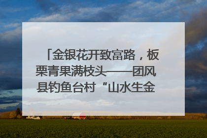金银花开致富路，板栗青果满枝头——团风县钓鱼台村“山水生金”谱写共富新篇章