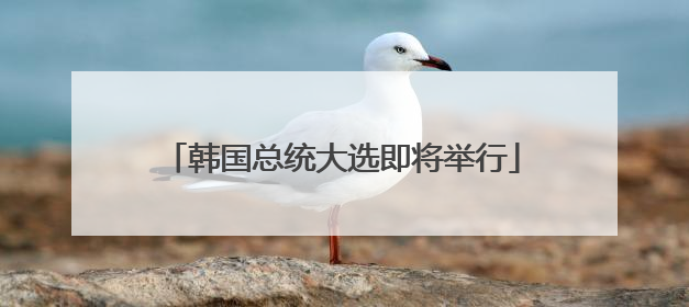 韩国总统大选即将举行