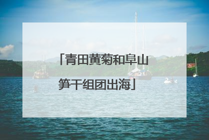 青田黄菊和阜山笋干组团出海