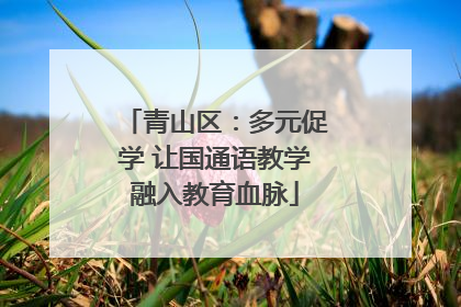 青山区：多元促学 让国通语教学融入教育血脉