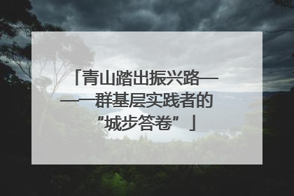 青山踏出振兴路——一群基层实践者的“城步答卷”
