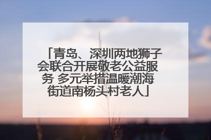 青岛、深圳两地狮子会联合开展敬老公益服务 多元举措温暖潮海街道南杨头村老人