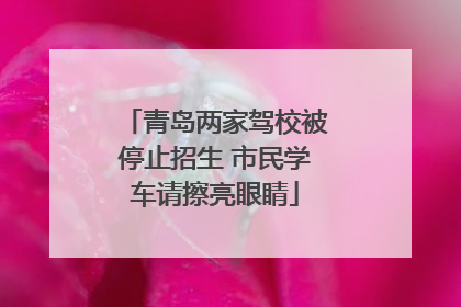 青岛两家驾校被停止招生 市民学车请擦亮眼睛