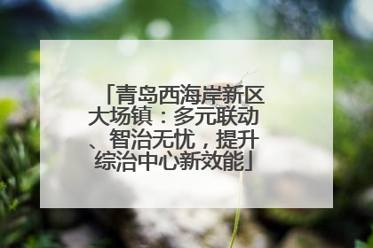 青岛西海岸新区大场镇：多元联动、智治无忧，提升综治中心新效能