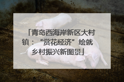 青岛西海岸新区大村镇：“赏花经济”绘就乡村振兴新图景