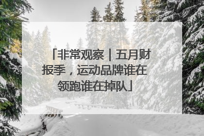 非常观察｜五月财报季，运动品牌谁在领跑谁在掉队