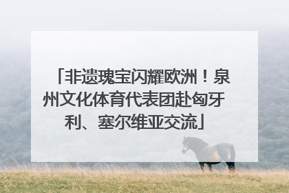 非遗瑰宝闪耀欧洲！泉州文化体育代表团赴匈牙利、塞尔维亚交流