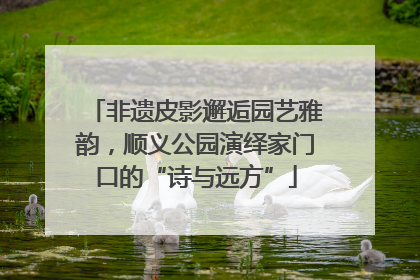 非遗皮影邂逅园艺雅韵，顺义公园演绎家门口的“诗与远方”
