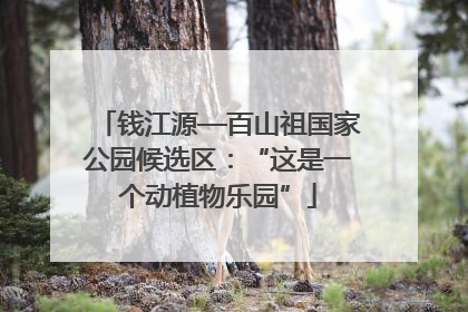 钱江源—百山祖国家公园候选区：“这是一个动植物乐园”